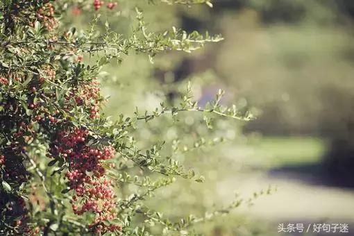 有伤感句子的图片 有伤感句子的图片
