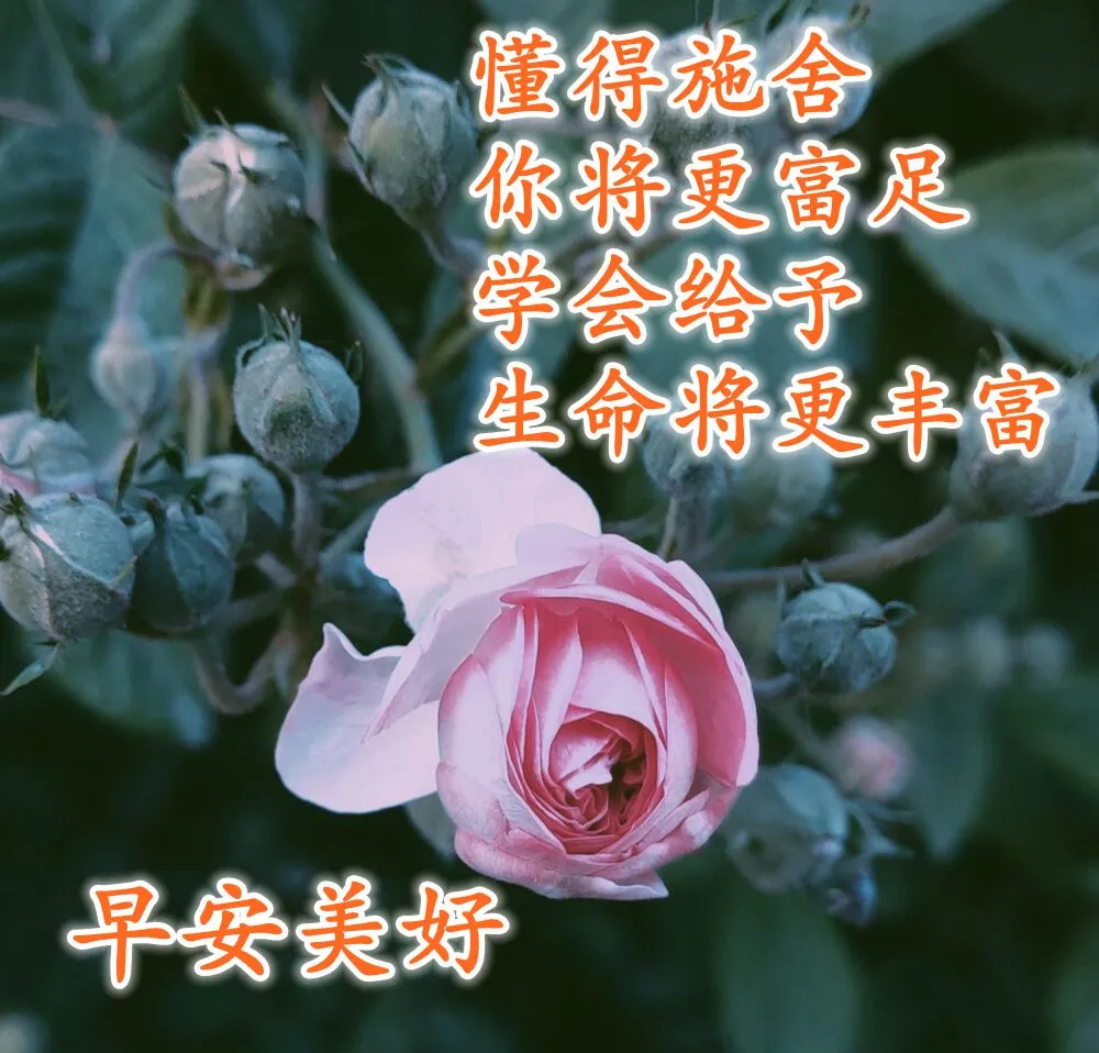 新版朋友圈早晨祝福语唯美句子，适合微信群发的早上好问候语图片大全