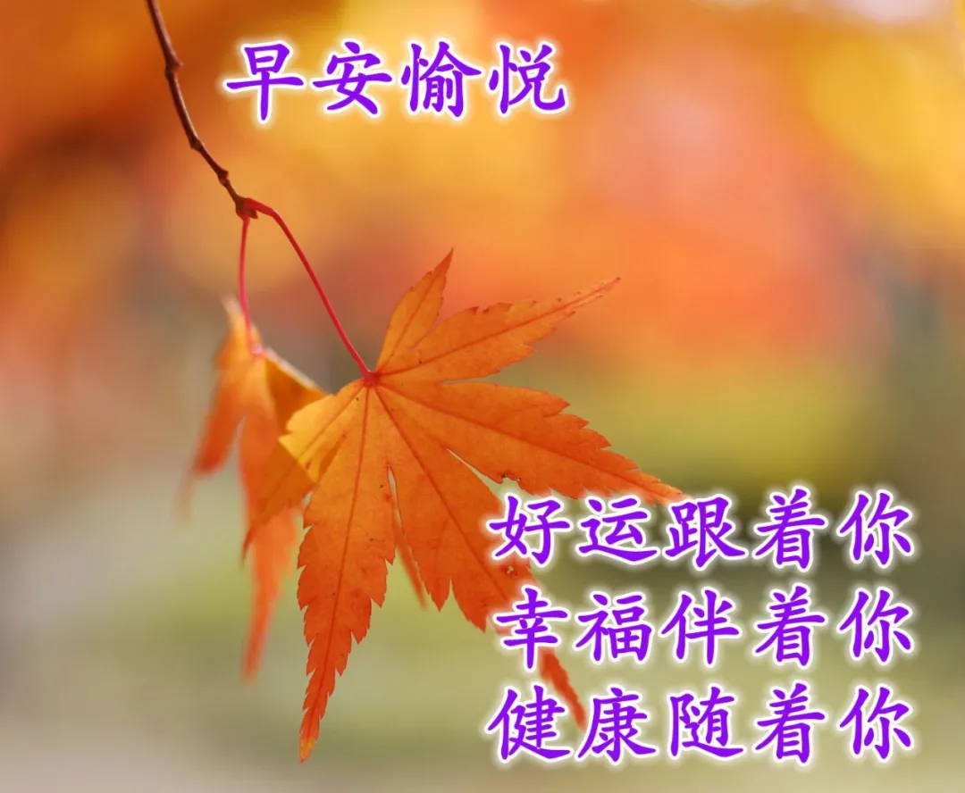 新版朋友圈早晨祝福语唯美句子，适合微信群发的早上好问候语图片大全