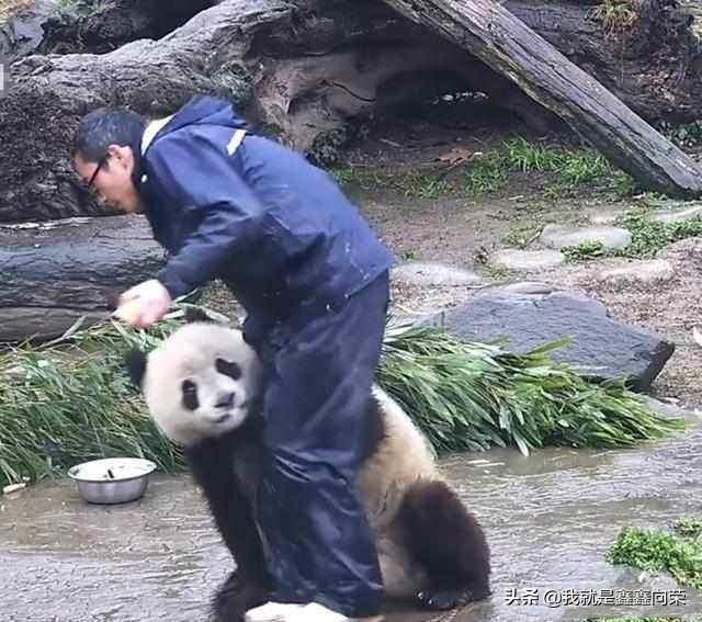 挽留射手男的句子(和射手男分手了该怎么做)