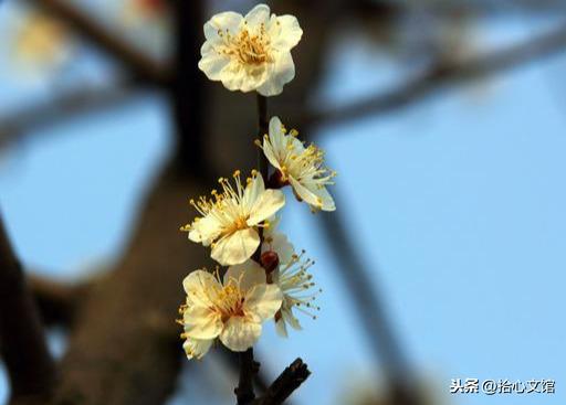 不能挽留的句子(关于无法挽留爱情的句子)