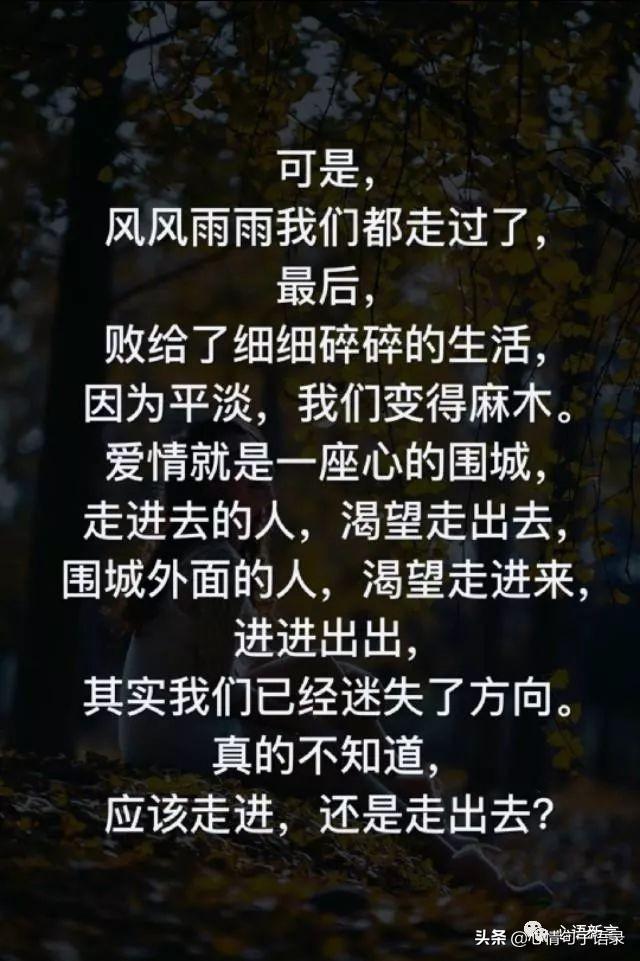 风的追求还是树的不挽留句子(秋叶是风的追求还是树的不挽留)