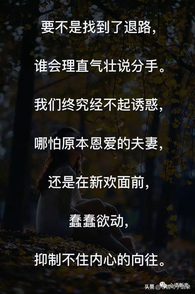 风的追求还是树的不挽留句子(秋叶是风的追求还是树的不挽留)