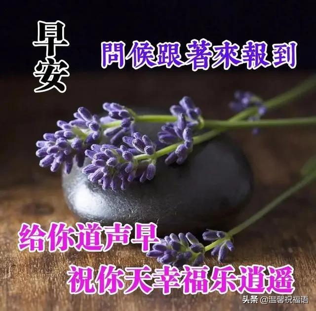 温馨的花蕊的句子(花蕊形容)