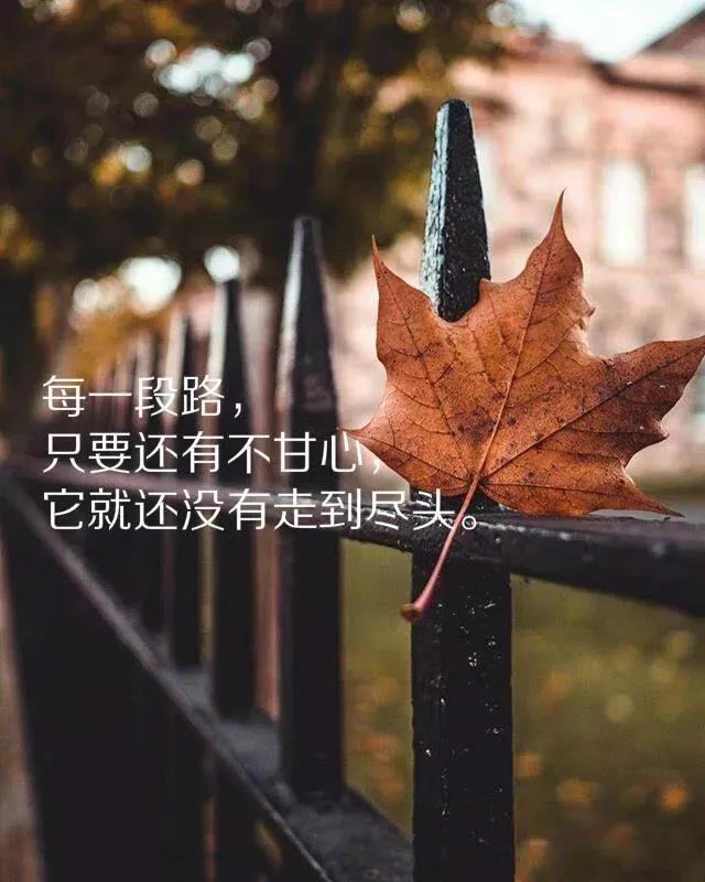 雨天适合发朋友圈的温馨句子(表达开心的朋友圈说说)