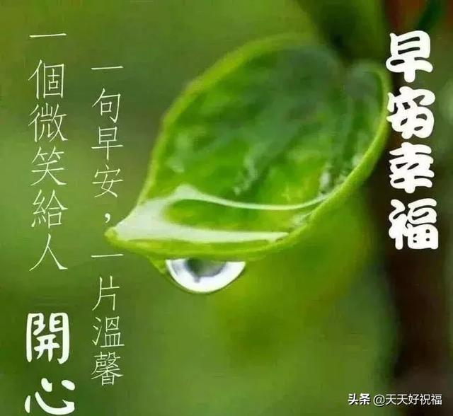 雨后的温馨句子(形容雨后空气清新的句子)