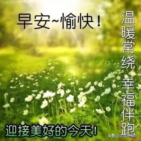 温馨句子图片(感觉幸福的图片)