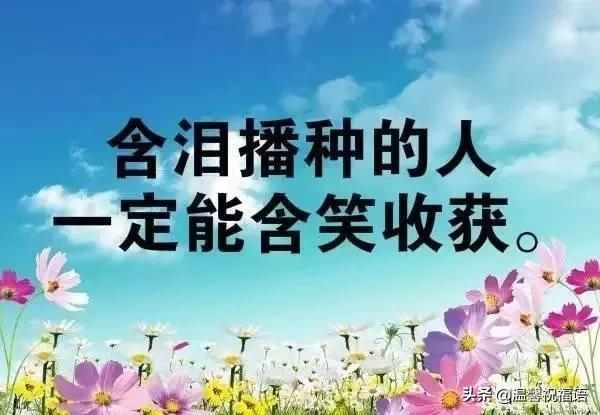 早温馨句子(形容起得早的幽默句子)