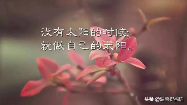 早温馨句子(形容起得早的幽默句子)