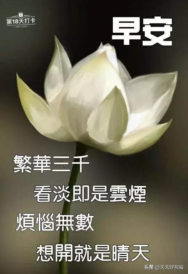 温馨的句子祝福语(精简祝福语)