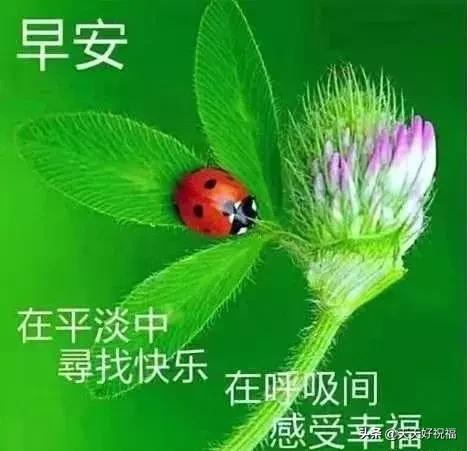 温馨的句子祝福语(精简祝福语)