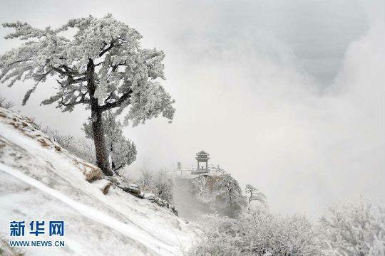 下雪的温馨句子简短(表达下雪后的心情)