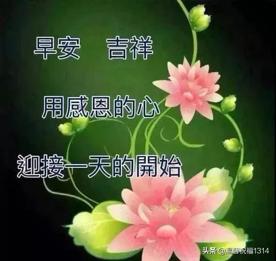 很温馨的早安句子带图片(早安友情温馨图片唯美)