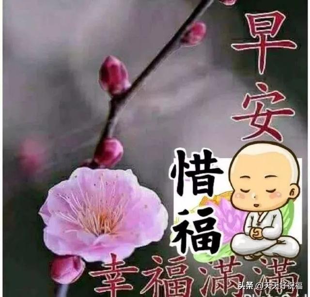 亲爱的早上好温馨句子(早上问好的句子简短)