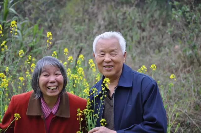 父母吃饭温馨的句子(陪父母去旅行优美句子)