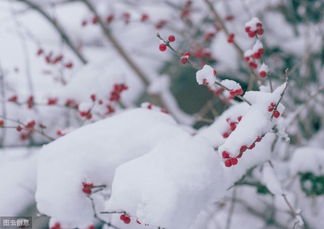 雪天保暖的温馨句子(下雪穿什么裤子保暖)