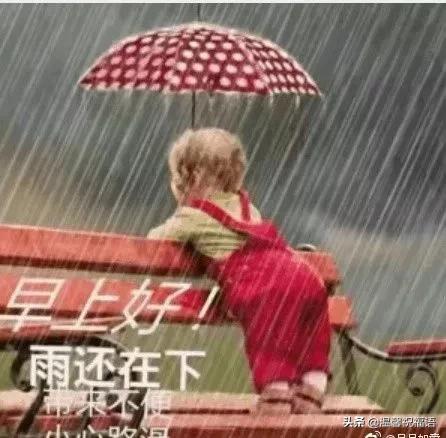 早安心语温馨句子雨天(早安心语优美的语句)