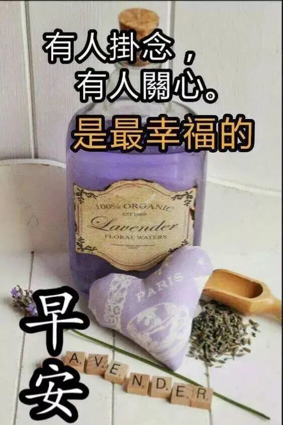 柔和的阳光温馨的句子(阳光招呼句有哪些)