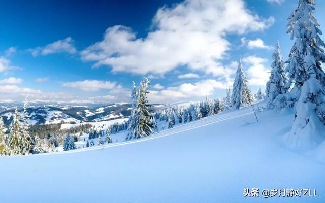 关于雪的句子伤感(雪的人生感悟句子)