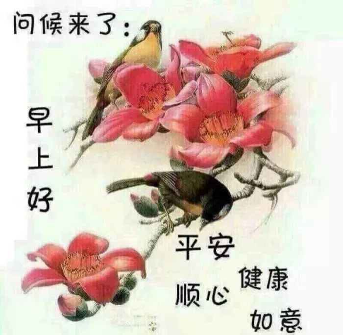 春季三月早晨好问候语阳光句子早晨好祝福图片动态大全