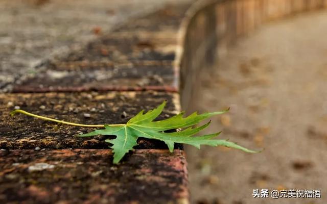 七字伤感句子(7个字的深意的短句子励志)