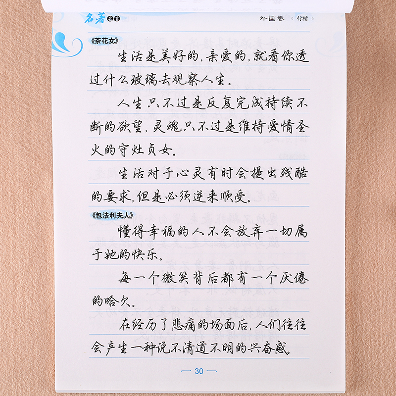 名著优美句子摘抄app_(优美的段落摘抄app)