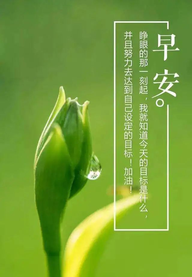 3月23日早上发朋友圈激励人心的好句子