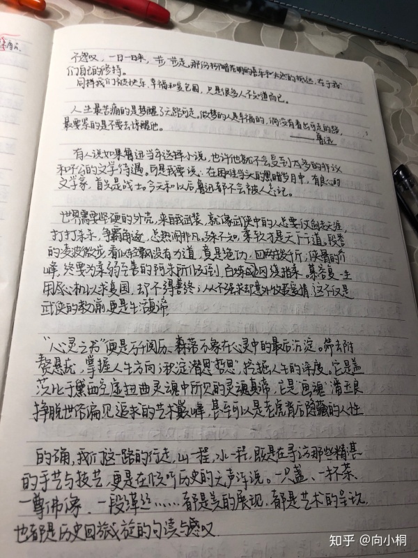 句子摘抄(100句优美句子短句)