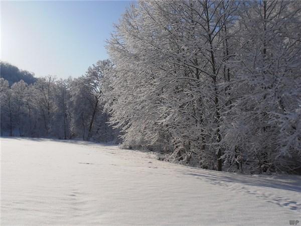 下雪的伤感句子(雪景伤感)