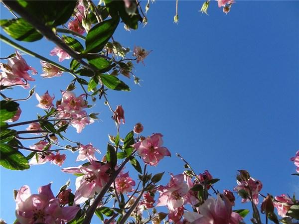 伤感颓废句子(生活很颓废的句子)