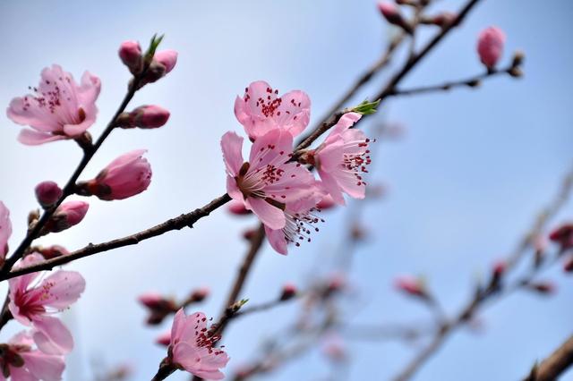 古风爱情句子伤感(伤感短句 关于爱情)