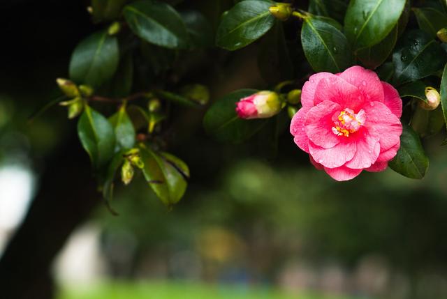 古风爱情句子伤感(伤感短句 关于爱情)