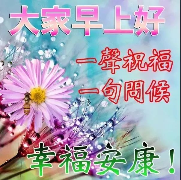 心情好的句子祝福语问候语早安心语正能量早安语录