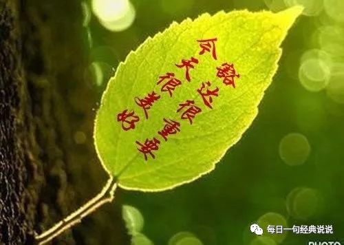 痛到撕心裂肺的伤感句子，送给为爱受伤的你