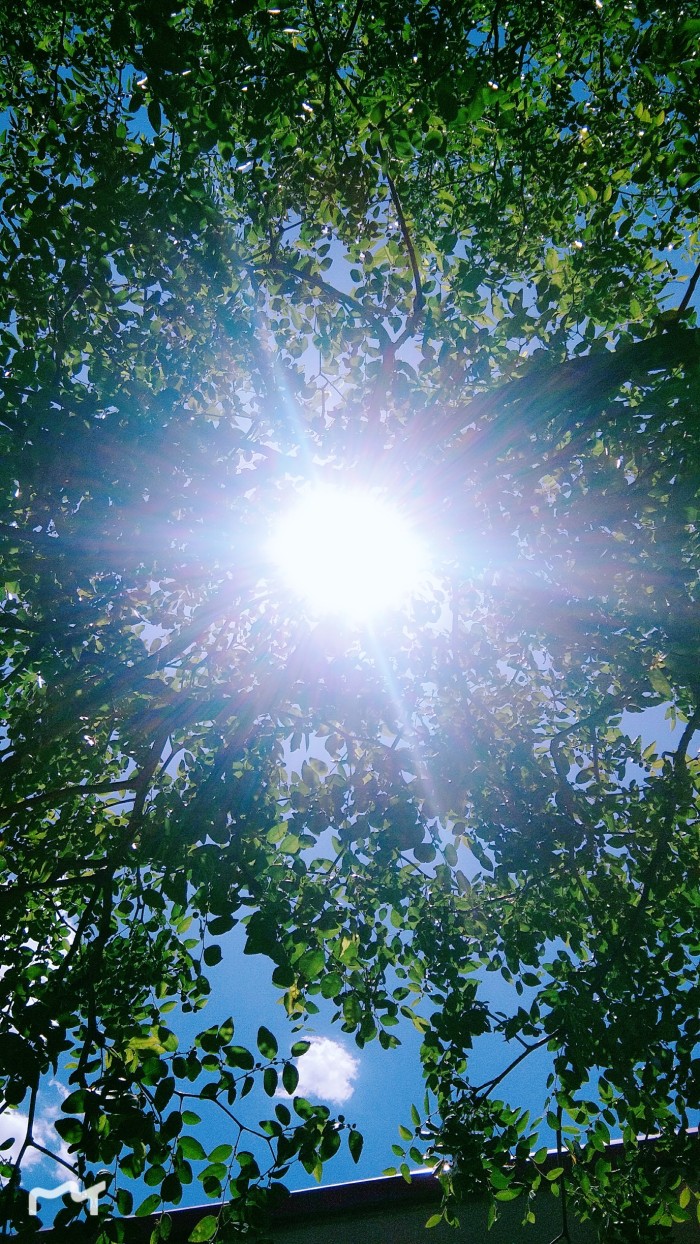 形容天气心情好的句子(形容夏天的好天气好心情)