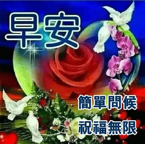 心情好的句子人生感悟经典语录早上好图片早安问候语