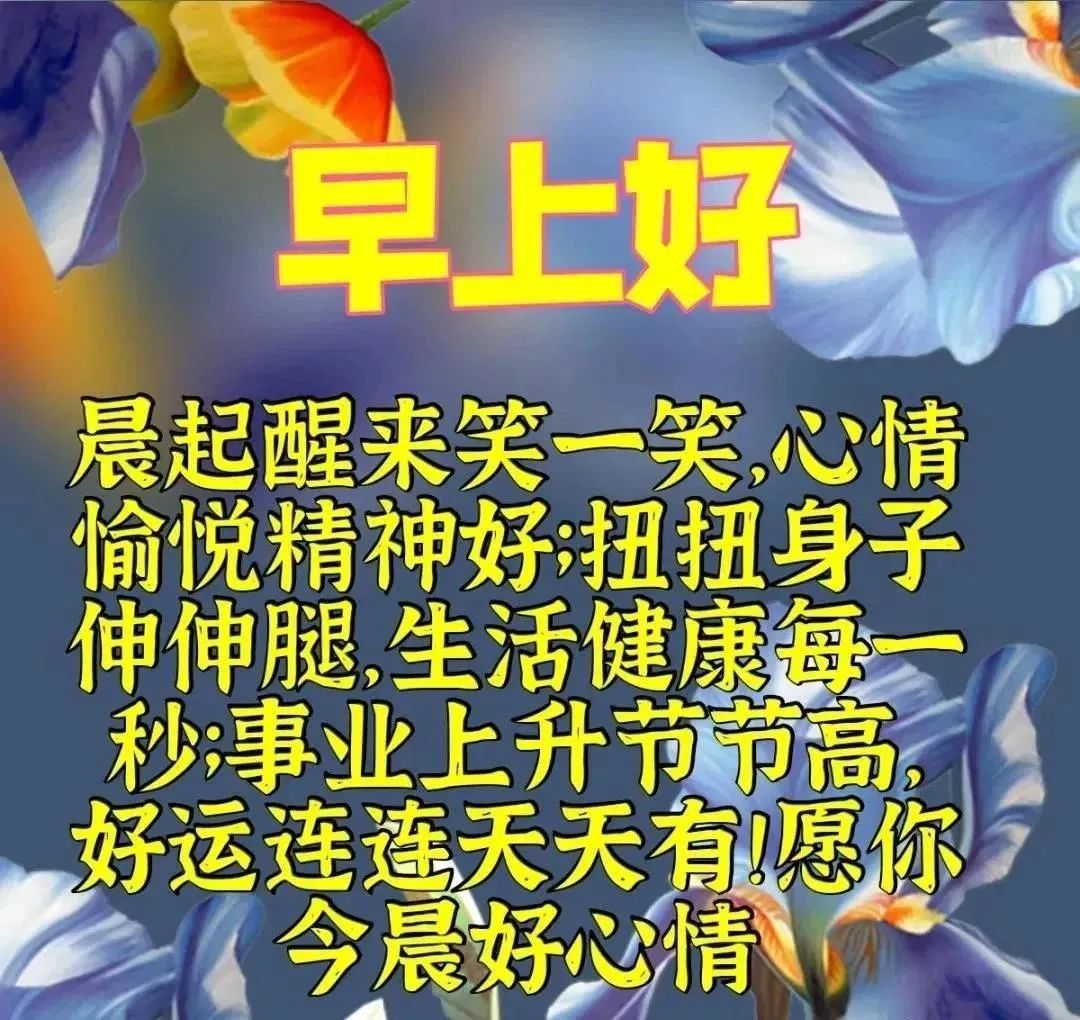 心情好的句子早上好表情晚上好表情图早上好问候语