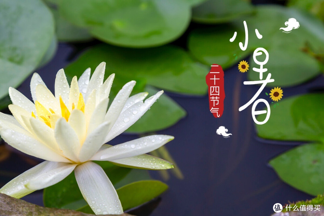 天气凉爽的句子(形容天气好的句子)