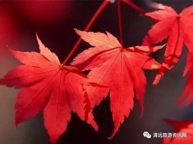 天气热保重身体的句子(天气太热关心老公辛苦的句子)