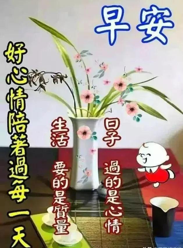 形容早晨天气好的句子(阳光明媚的句子唯美句)