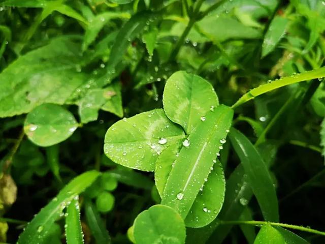 描写九月天气的句子(怎么形容九月的季节)