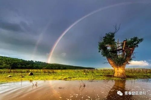 雨过天晴正能量的说说优美的句子盘点