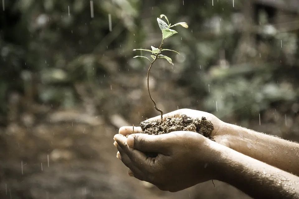 下雨的有意境的短句子下雨天的唯美句子