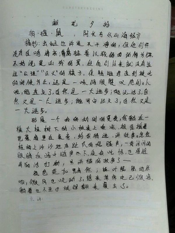 优美句子摘抄大全100字左右_(优美开头摘抄100字左右)