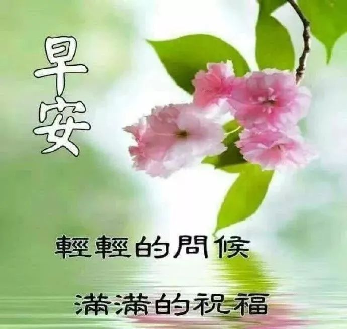 早上好祝福语优美句子早安祝福语最新