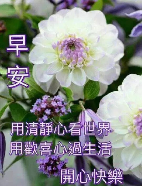 早上好祝福语优美句子早安祝福语最新