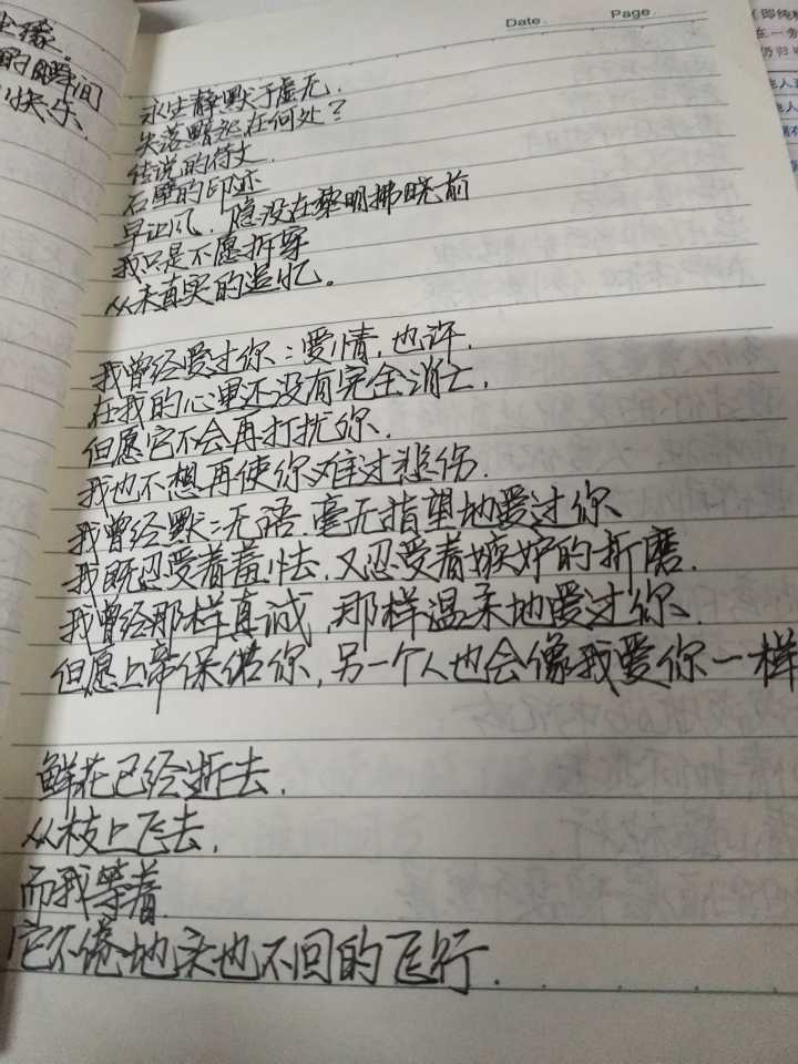 优美句子摘抄加感悟_(摘抄加赏析50字)