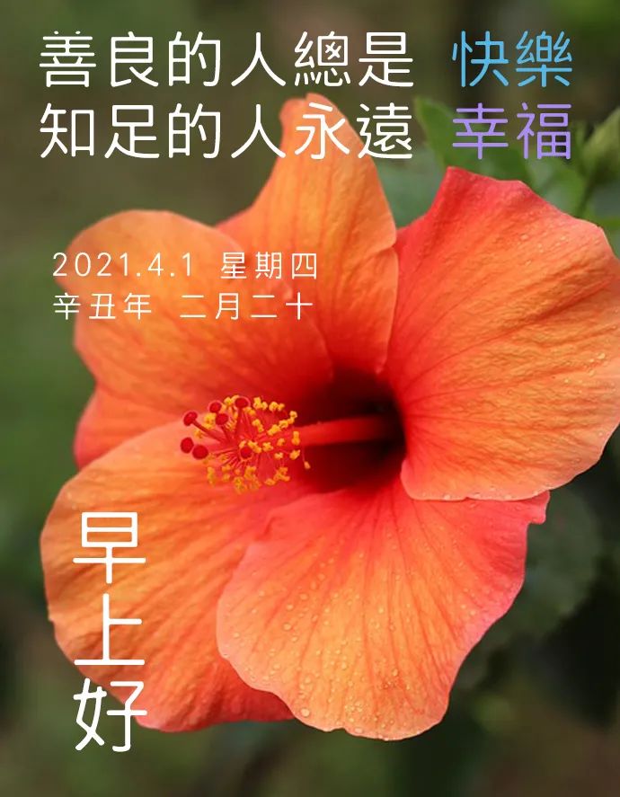 早上好祝福语优美句子早安祝福语最新