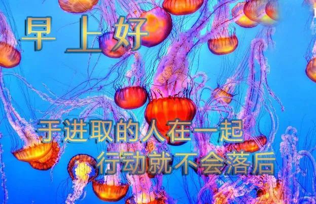 早上好祝福语优美句子，清晨早上好唯美图片