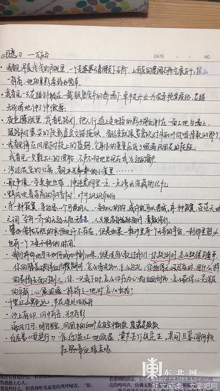 摘抄10句优美句子20字_(好词好句大全短一点)